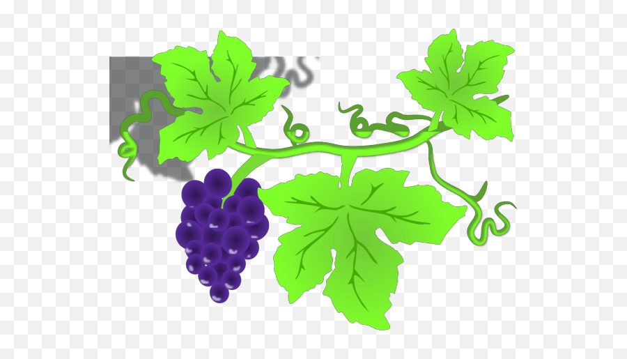 Grape Vine Png Svg Clip Art For Web - Clip Art Grape Leaves Emoji,Grape Emoji