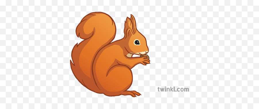 Red Squirrel Emoji Animal Twinkl Newsroom Ks2 Illustration - Fox Squirrel,Squirrel Emoji