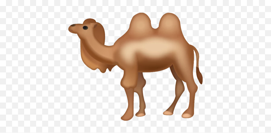 Camel Emoji Download Ios - Camel Emoji Png,Bug Emoji