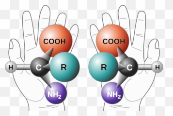 Chirality With Hands - Emoji