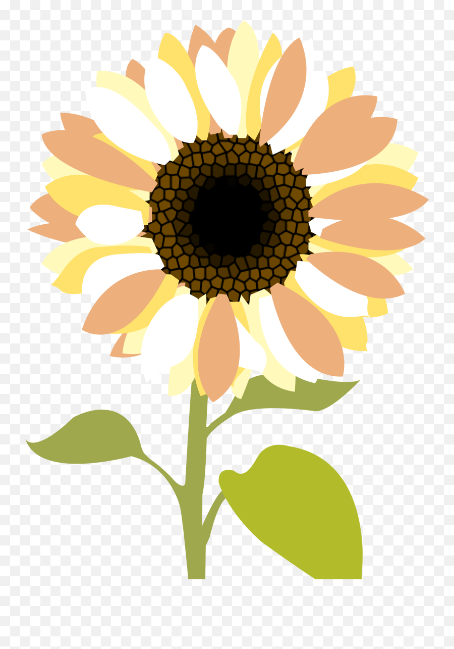 Clip Art Clipartbold - Clipart Transparent Sunflowers Png Emoji,Sunflower Emoji Transparent