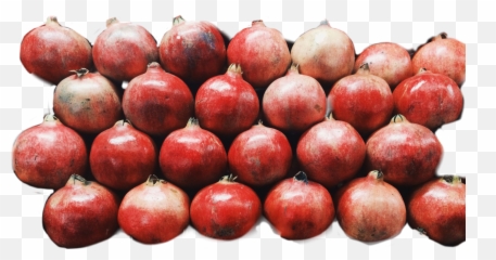 Pomegranate Pomegranates - Pomegranate Emoji,Pomegranate Emoji