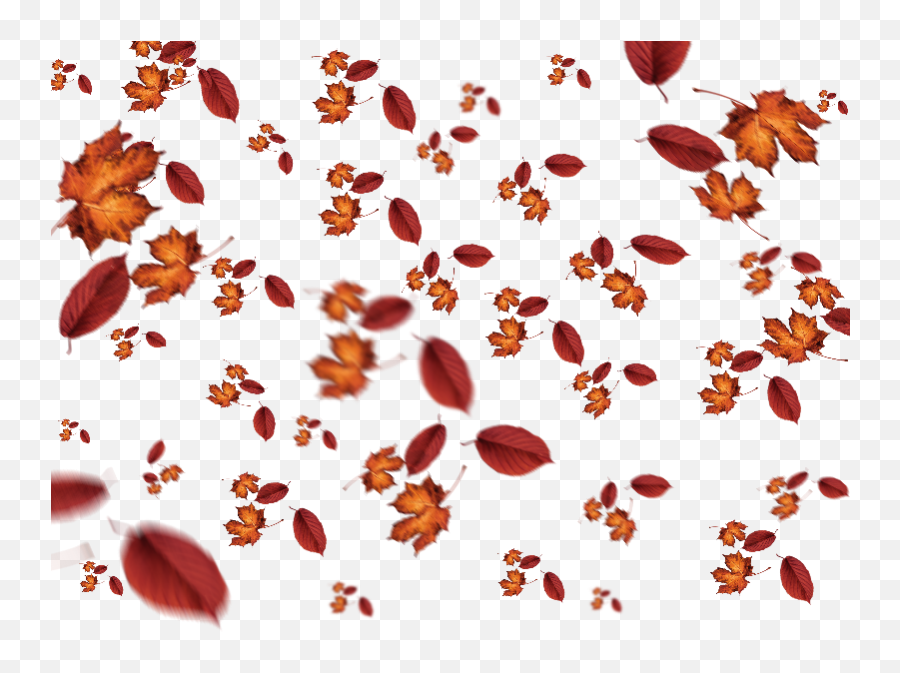 Fall Falling Leaves Leaf Fallingleaves - Falling Leaves Texture Emoji,Falling Leaves Emoji