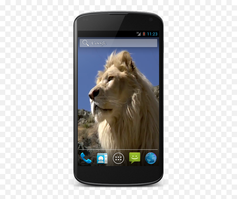 White Lion Video Wallpaper 1 Download - Htc Hd2 Android Emoji,Lion Emoji Android