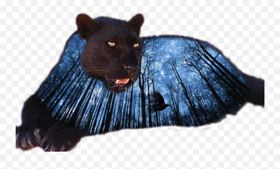 Black Panther With Blue Forest Sticker Emoji,Black Panther Emoji