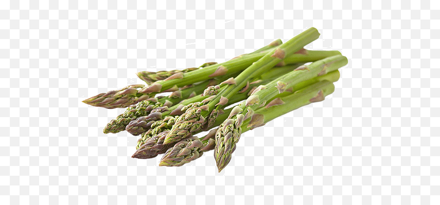 Free Asparagus Clipart Black And White - Stock Photo Asparagus Emoji,Asparagus Emoji