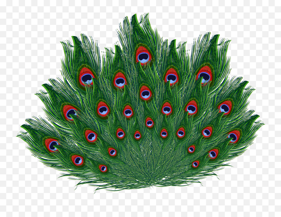 Pin - Peacock Feather Krishna Png Emoji,Feather Emoticon