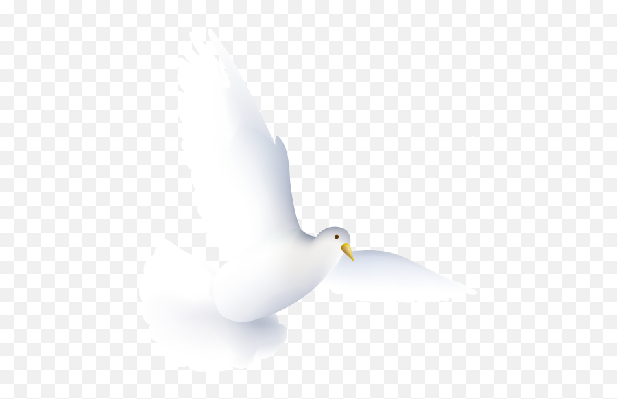 Dove Icon - White Dove Icon Png Emoji,Dove Emoji Png