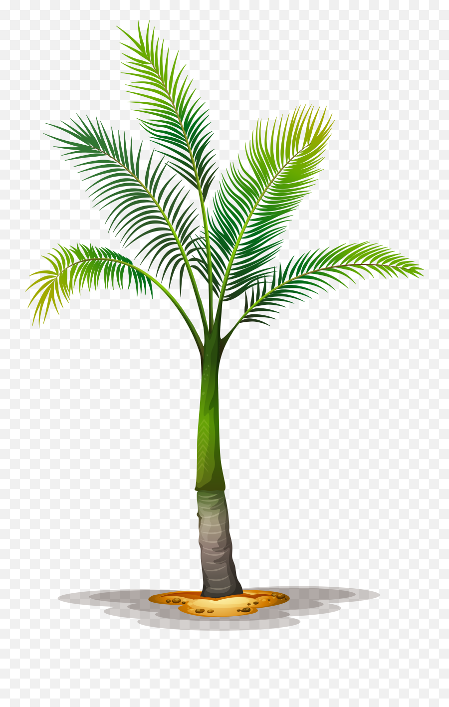 Tree Planting Trees To Plant Palm Print Tree Of - Palm Different Types De Palmiers Emoji,Palm Tree Emoji