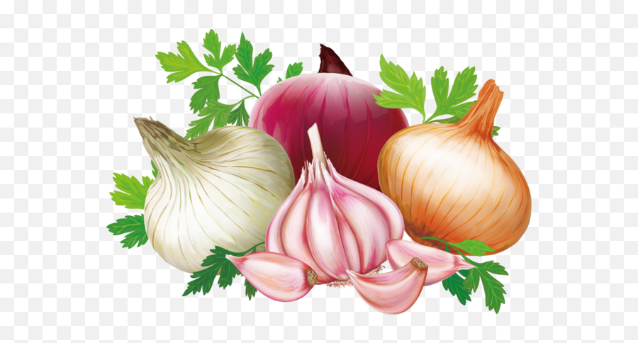 Popular And Trending Onion Stickers On Picsart - Onion Emoji,Onion Emoji
