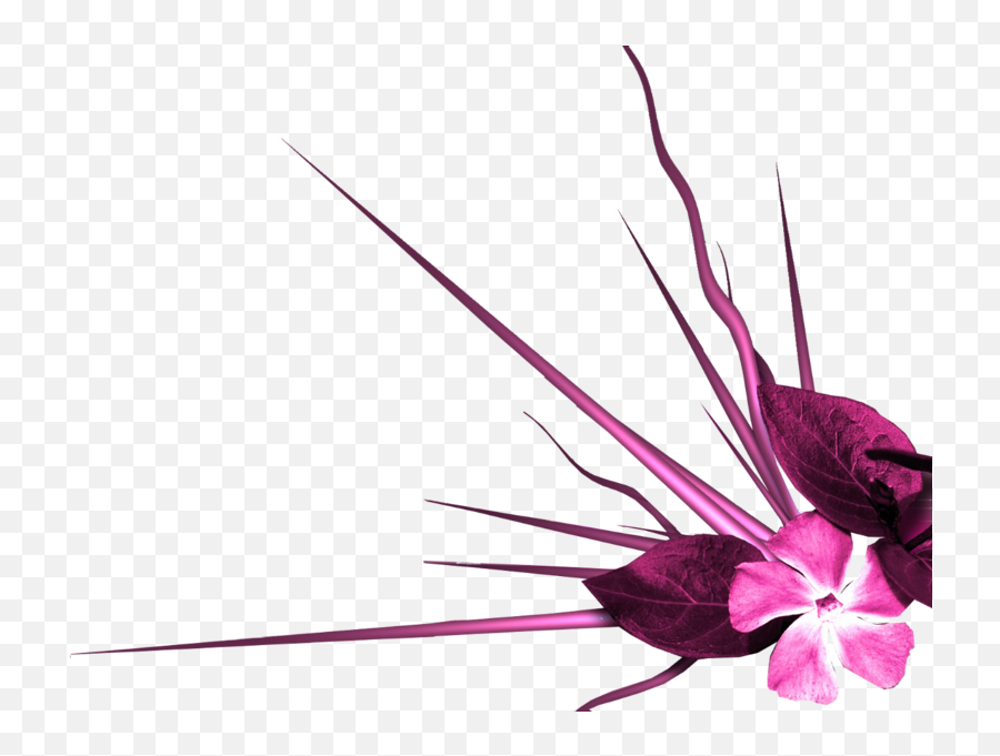 Pink Flower Emoji Png - Pink Floral Design Artificial Moth Orchid,Margarita Emoji