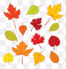 Fall Clipart Leaf Pattern Emoji
