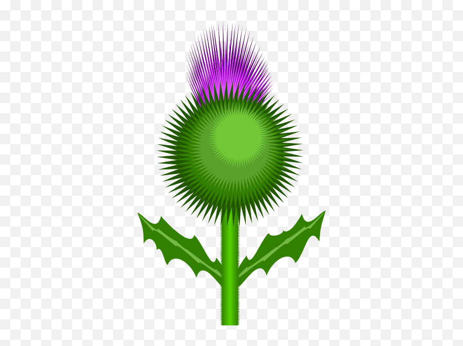 Scottish Thistle Clip Art - Poem About One To One Function Emoji,Scottish Emoji