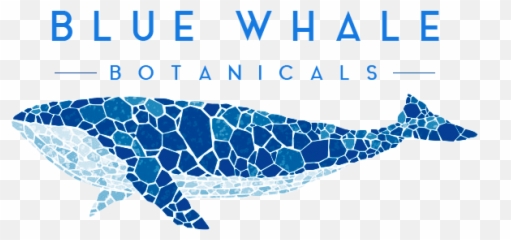 Home - Blue Whale Mosaic Emoji