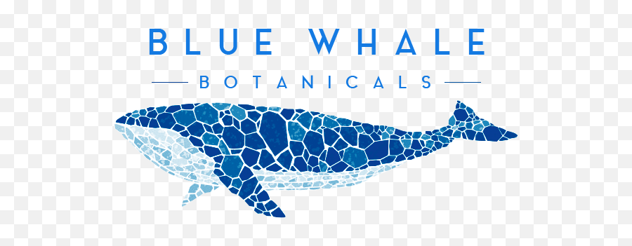 Home - Blue Whale Mosaic Emoji,Free And Whale Emoji