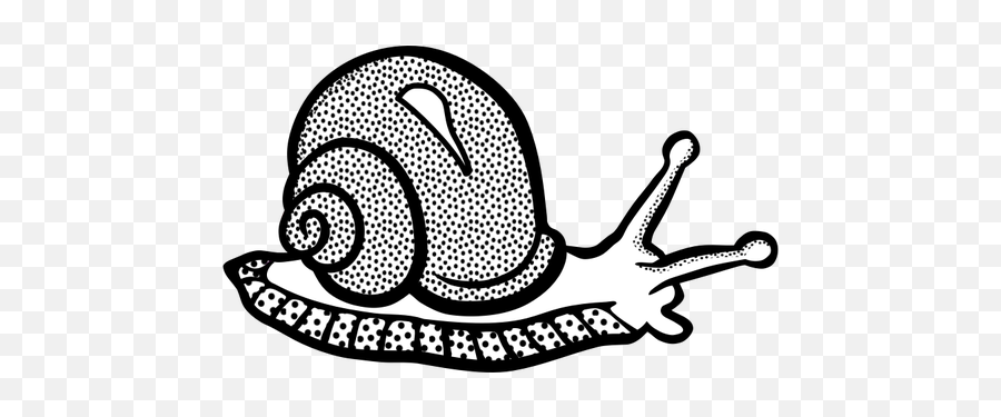 Fleckigen Schnecke Linie Kunst - Snail Black And White Emoji,Emoticons Apple