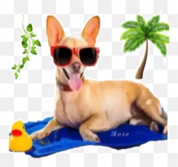 Holiday Dogs Stickers Per Whatsapp - Dog Yawns Emoji,Chihuahua Emoji