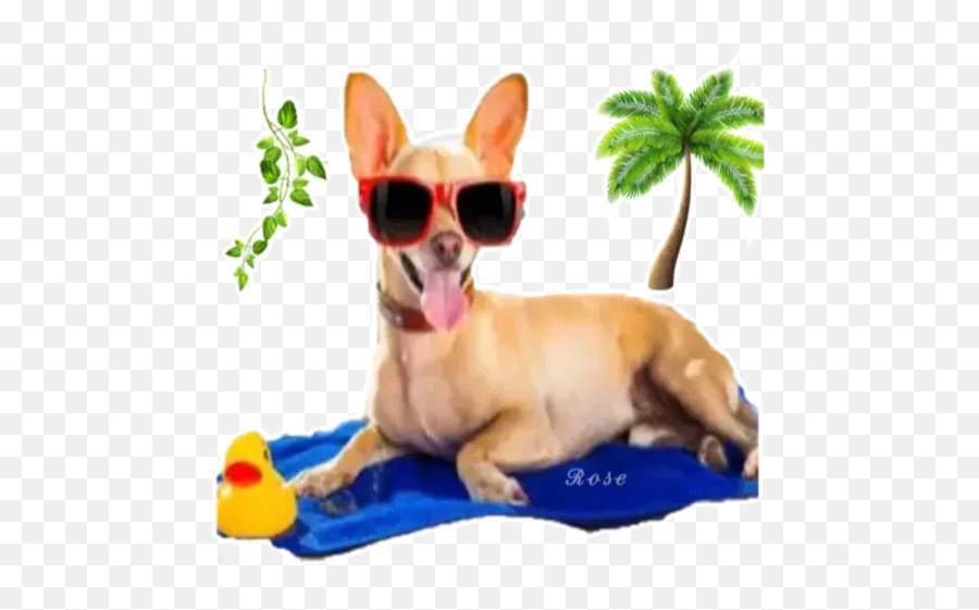 Holiday Dogs Stickers Per Whatsapp - Dog Yawns Emoji,Chihuahua Emoji