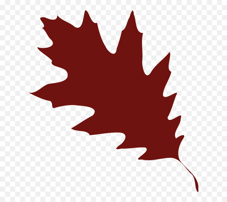 Free Greenery Leaves Vectors - Red Fall Leaf Clipart Emoji,Cactus Emoji