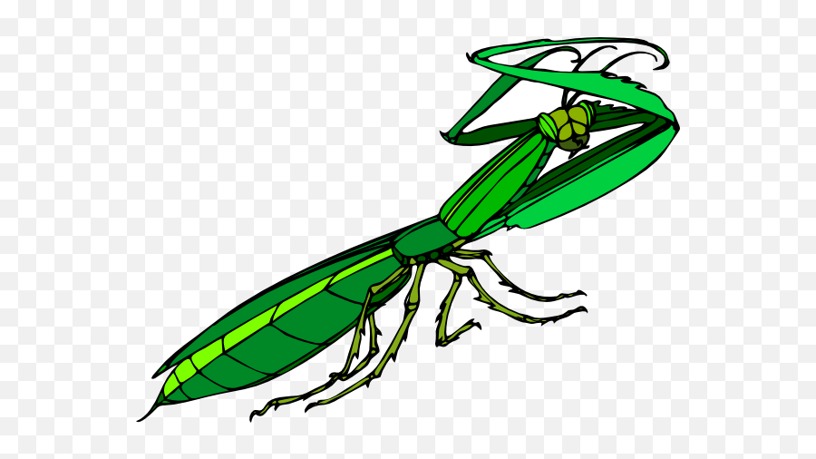 Praying Mantis Clipart - Praying Mantis Clipart Png Emoji,Grasshopper Emoji
