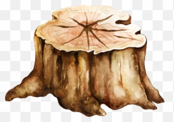 Bookscupsandcandles - Tree Stump Emoji,Conch Shell Emoji