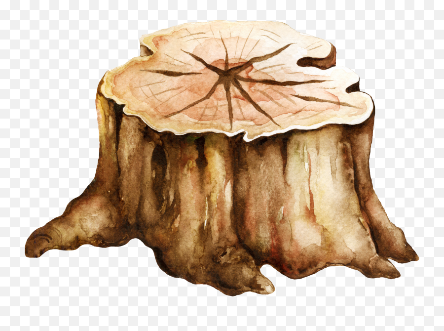 Bookscupsandcandles - Tree Stump Emoji,Conch Shell Emoji