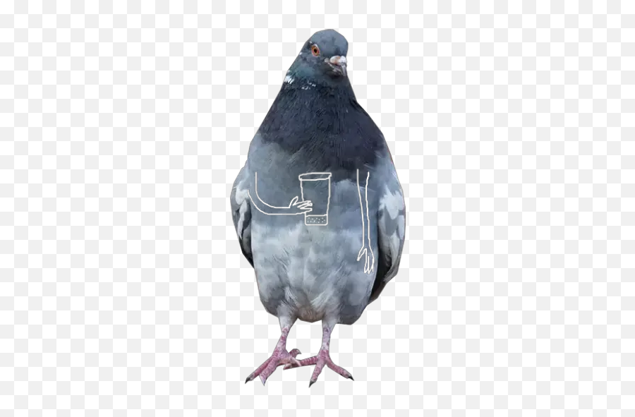 Dove With Hands Stickers For Whatsapp - Pigeon With Hands Emoji,Dove Emoji