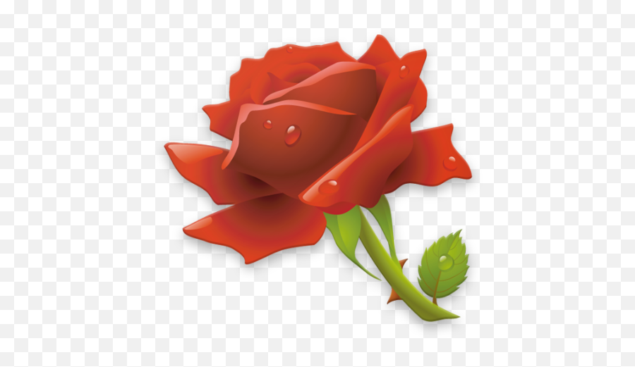 Rose Gif For You U2013 Applications Sur Google Play - Red Rose Vector Png Hd Emoji,Eek Emoji