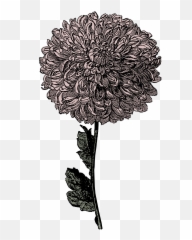 flower clipart - Clip Art Library Vintage Flower Drawings Transparent Background Emoji