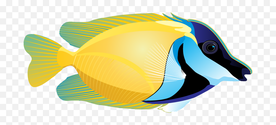 Download Tropical Fish Transparent Png Clipart Tropical Fish Clip Art Emoji Free Transparent Emoji Emojipng Com