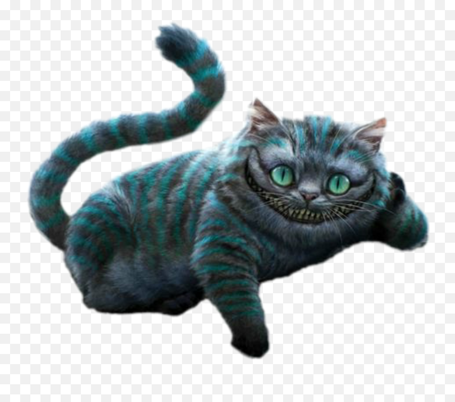 Cheshire Cat Aliceinwonderland - Transparent Cheshire Cat Png Emoji,Cheshire Cat Emoji