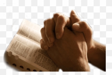Praying Hands Png - Praying Hands Transparent Background Emoji,Praising Hands Emoji