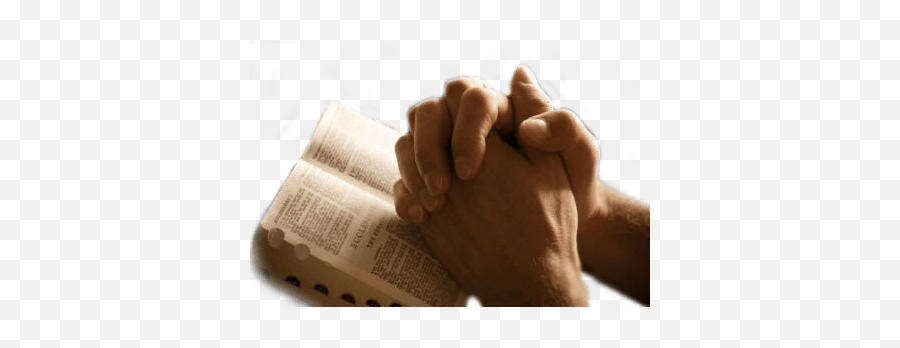 Praying Hands Png - Praying Hands Transparent Background Emoji,Praising Hands Emoji