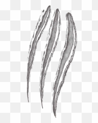 Claw Cuts Slash Sticker - White Marks Png Emoji