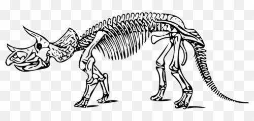 Free Triceratops Dinosaur Images - Skeleton Coloring Page Emoji