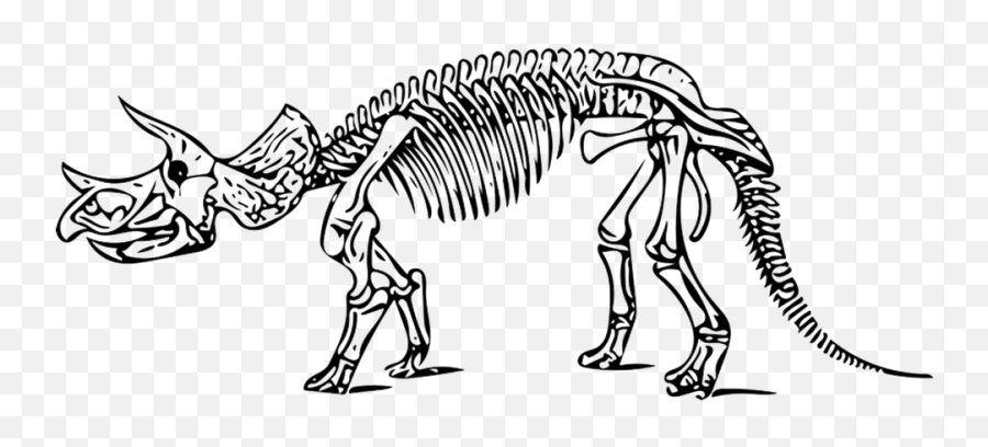 Free Triceratops Dinosaur Images - Dinosaur Skeleton Coloring Page Emoji,Dinosaur Emoticon