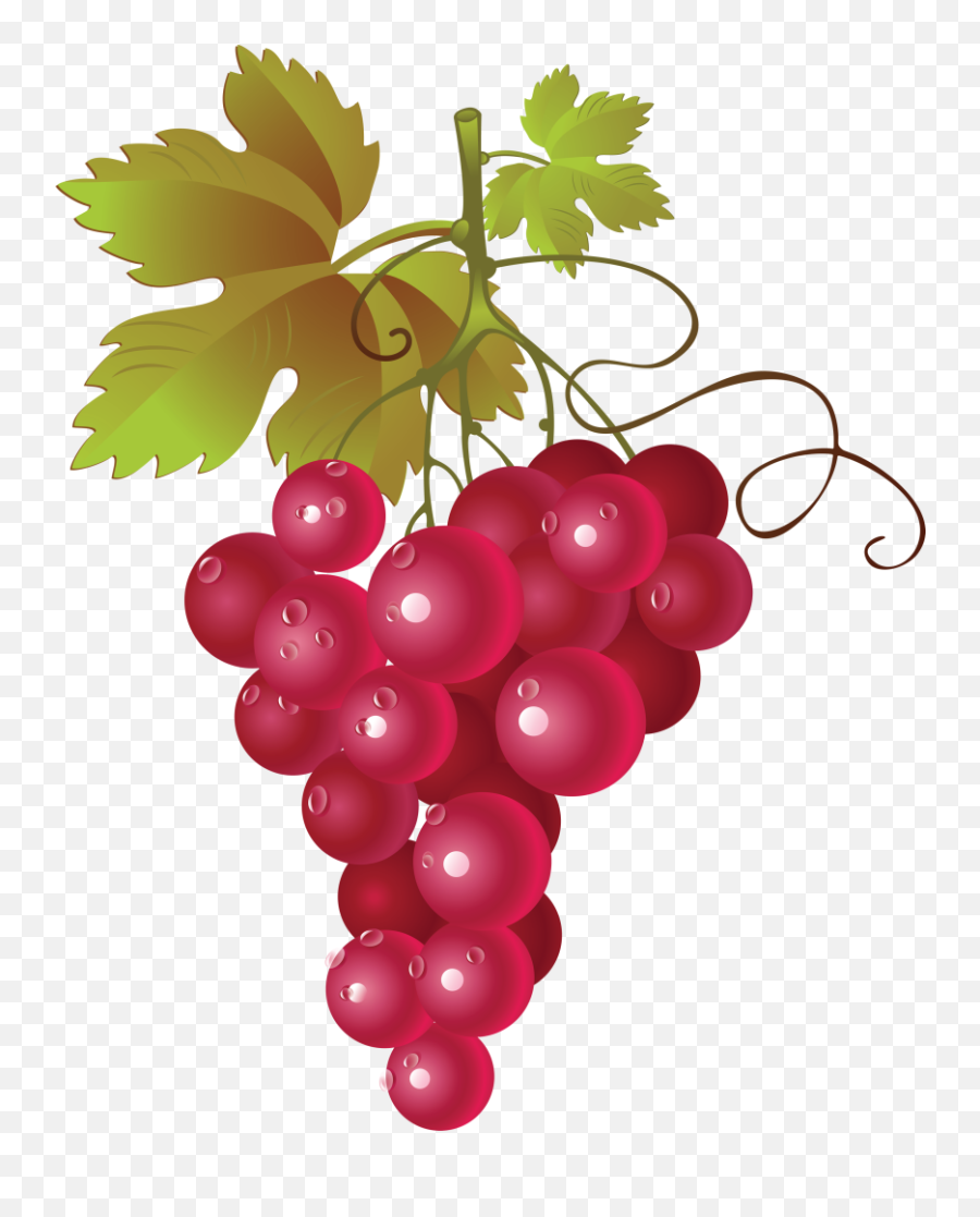 Grapes Clipart 8 - Red Grapes Vector Png Emoji,Grape Emoji
