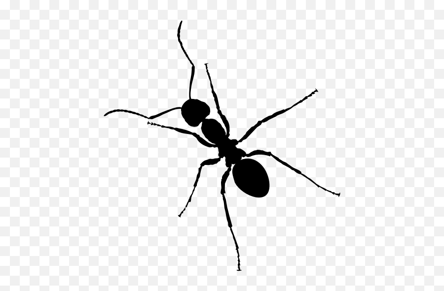 Ant With Long Legs Silhouette Vector Graohics - Clipart Transparent Background Ant Emoji,Beetle Emoji