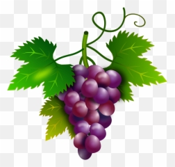 Grape Clipart Kawaii Grape Kawaii Transparent Free For - Grape Vine Png Emoji,Grape Emoji