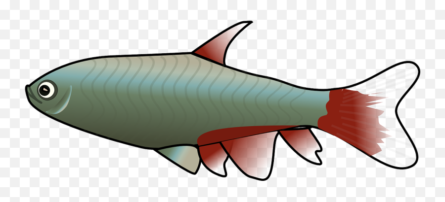 Fish Trout Rainbow Trout Fishing Animal - Tetra Clipart Emoji,Fish Hook Emoji