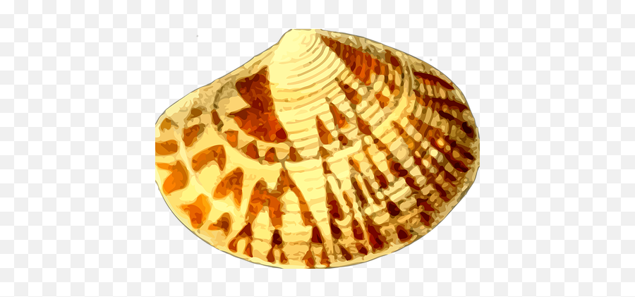 Free Sea Shells Shell Vectors - Gambar Kerang Kartun Emoji,Conch Shell Emoji