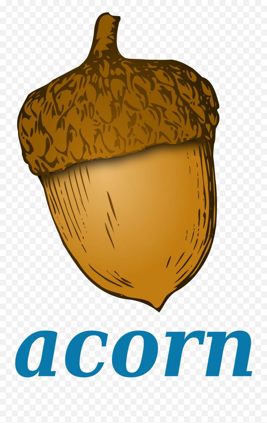 Acorn Kawaii Transparent Png Clipart - Acorn Cartoomn Emoji,Acorn Emoji