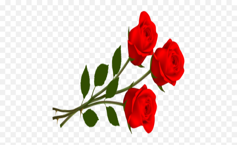 Flowers Night And Roses Morning Pictures Gif - Apps En Floral Emoji,Twitter Rose Emoji
