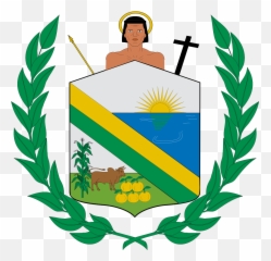 Escudo De Margarita - Escudo De Margarita Emoji,Surfing Emoji