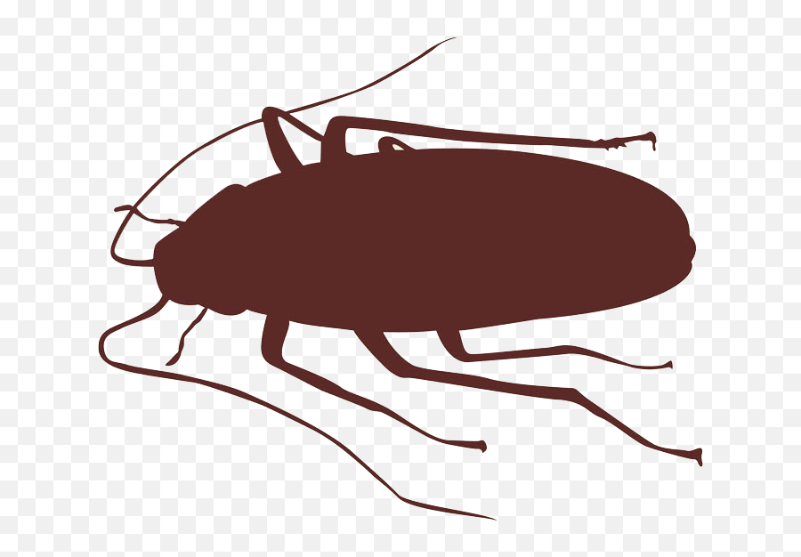 Cockroach Insect Silhouette - Roach Png Download 730588 Cockroach Silhouette Png Emoji,Roach Emoji