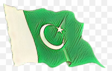 Pakistan Flag Pakistaniflag Jahada - Throw Pillow Emoji,Muslim Flag Emoji