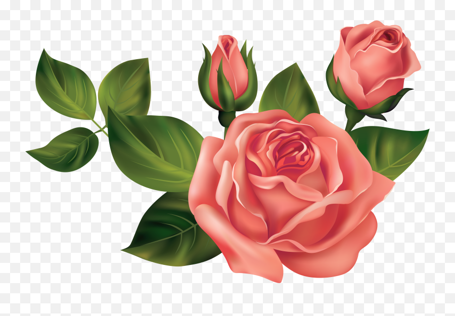 Rose Emoji - Transparent Images Of Roses,Rose Emoji Png
