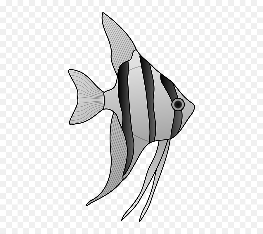 Angelfish Fish Aquarium - Angel Fish Drawings Emoji,Fairy Tail Emoji