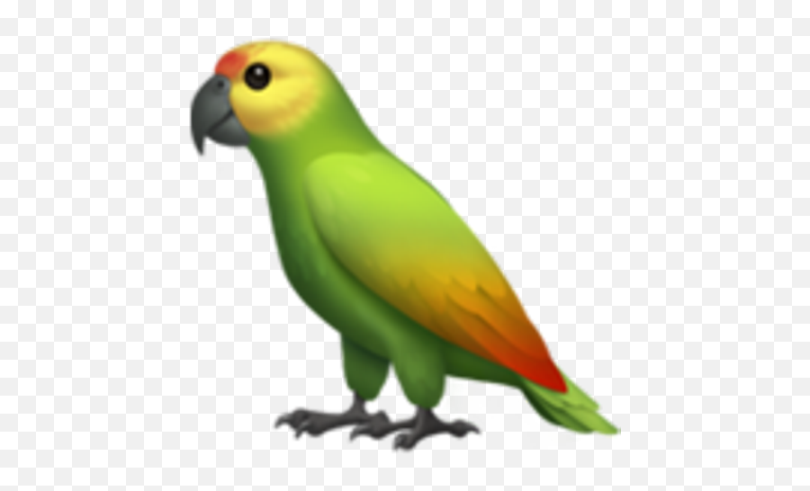 Popular And Trending Parrot Stickers - Parrot Emoji,Parrot Emoji