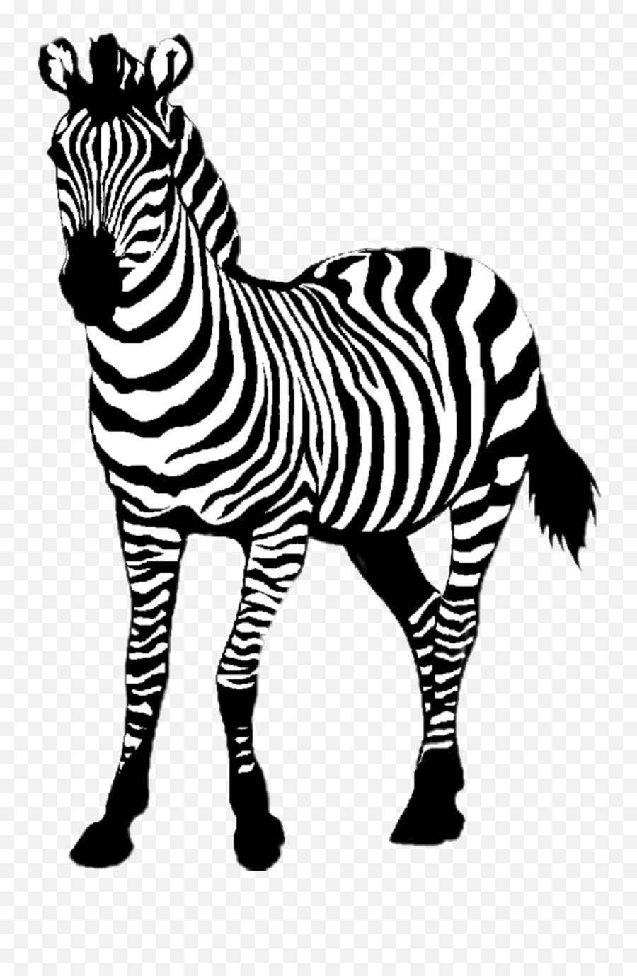 Boom Zebra - Animals In Italian Starting With B Emoji,Zebra Emoji